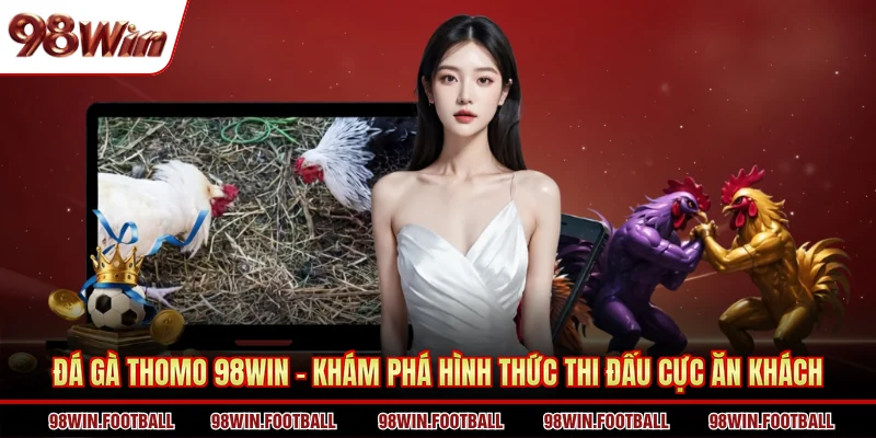 Đá gà Thomo 98WIN - Khám Phá Hình Thức Thi Đấu Cực Ăn Khách