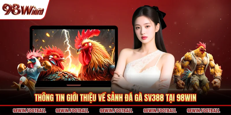 Thông tin giới thiệu về sảnh đá gà SV388 tại 98WIN