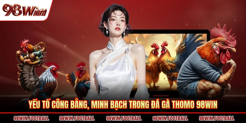 Yếu tố công bằng, minh bạch trong đá gà Thomo 98WIN